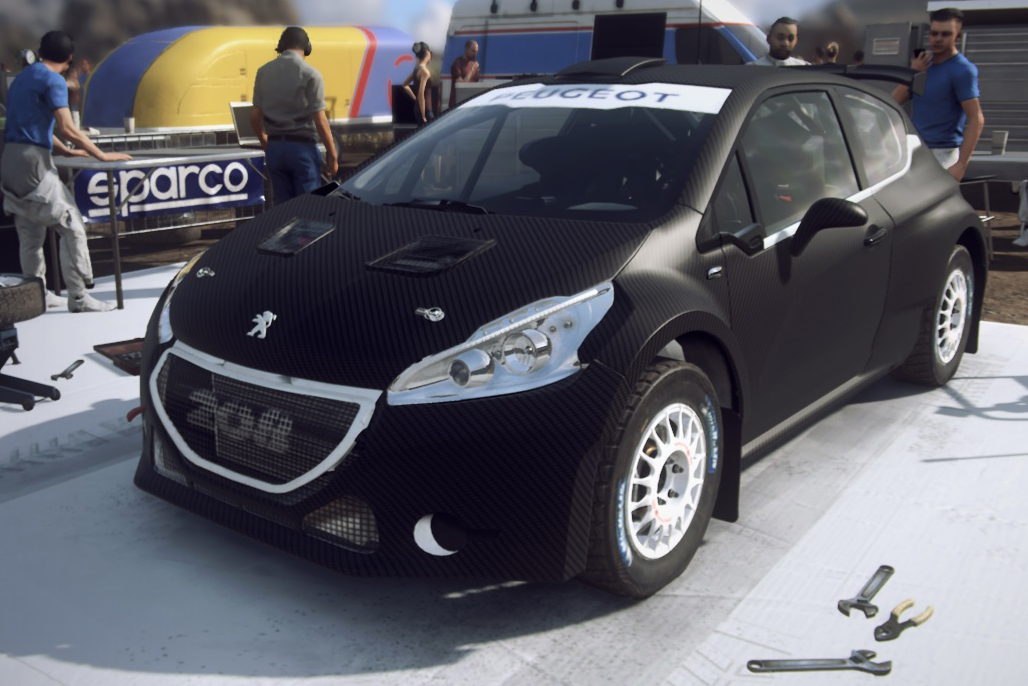 20r - Peugeot 208 - No Sponsors - Matte Carbon.jpg