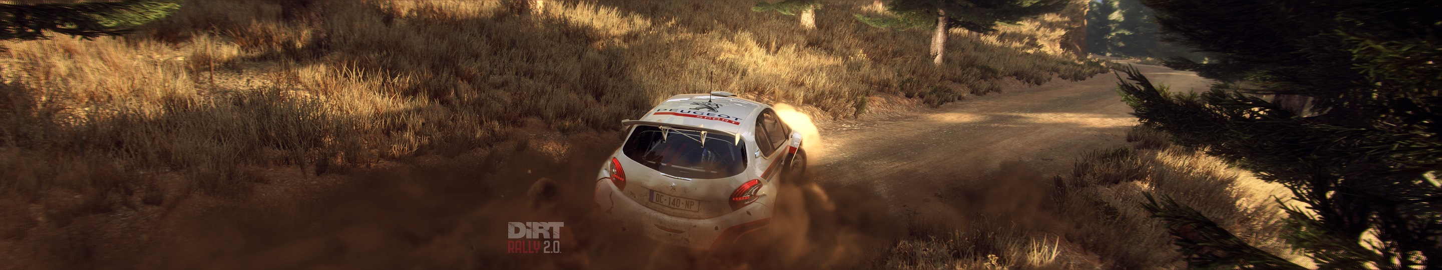 3 DIRT RALLY 2 GREECE with R5 PEUGEOT copy.jpg