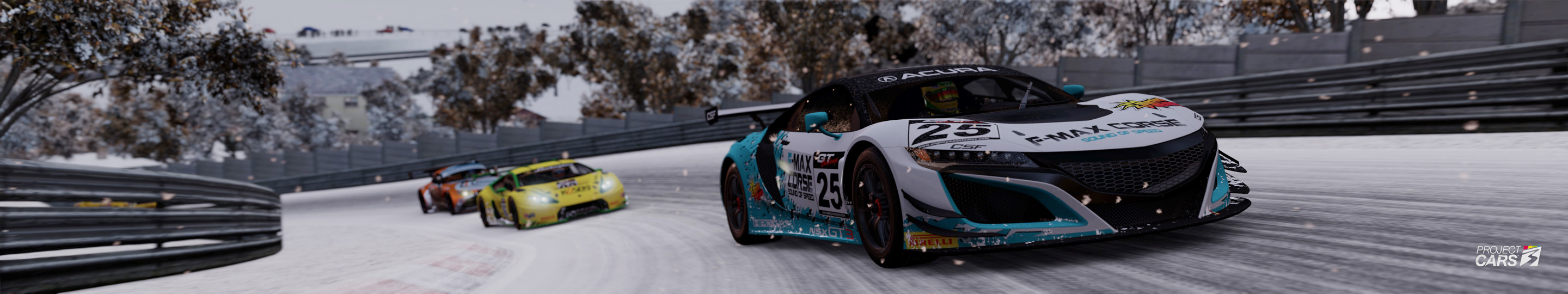 3 PROJECT CARS GT3 at NORDS Snow copy.jpg