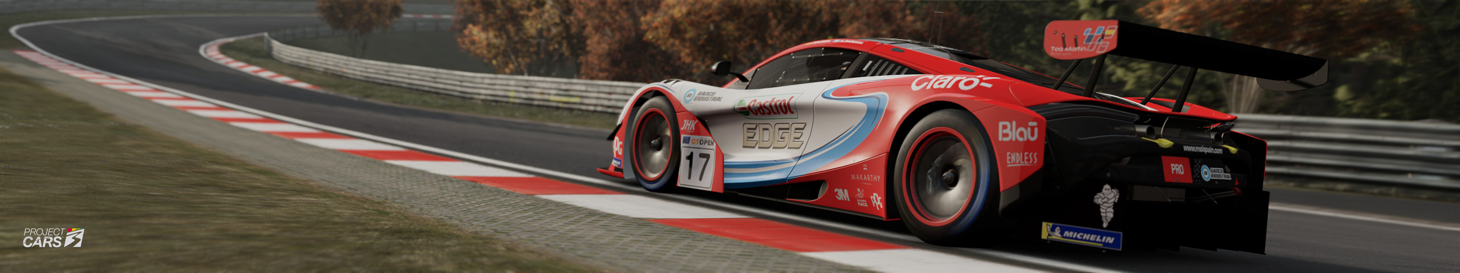 4 PROJECT CARS 3 GT3 at NORDSCHLEIFE copy.jpg