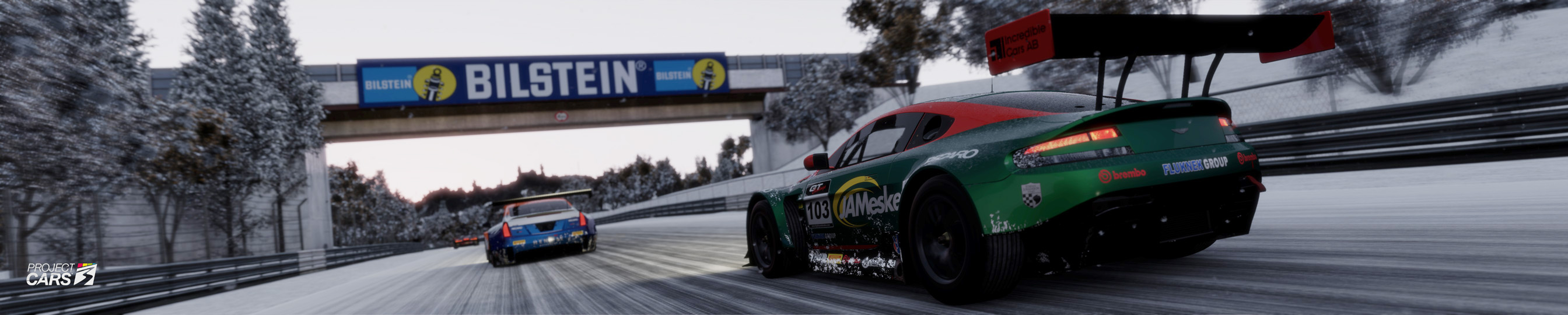 7 PROJECT CARS GT3 at NORDS Snow crop copy.jpg