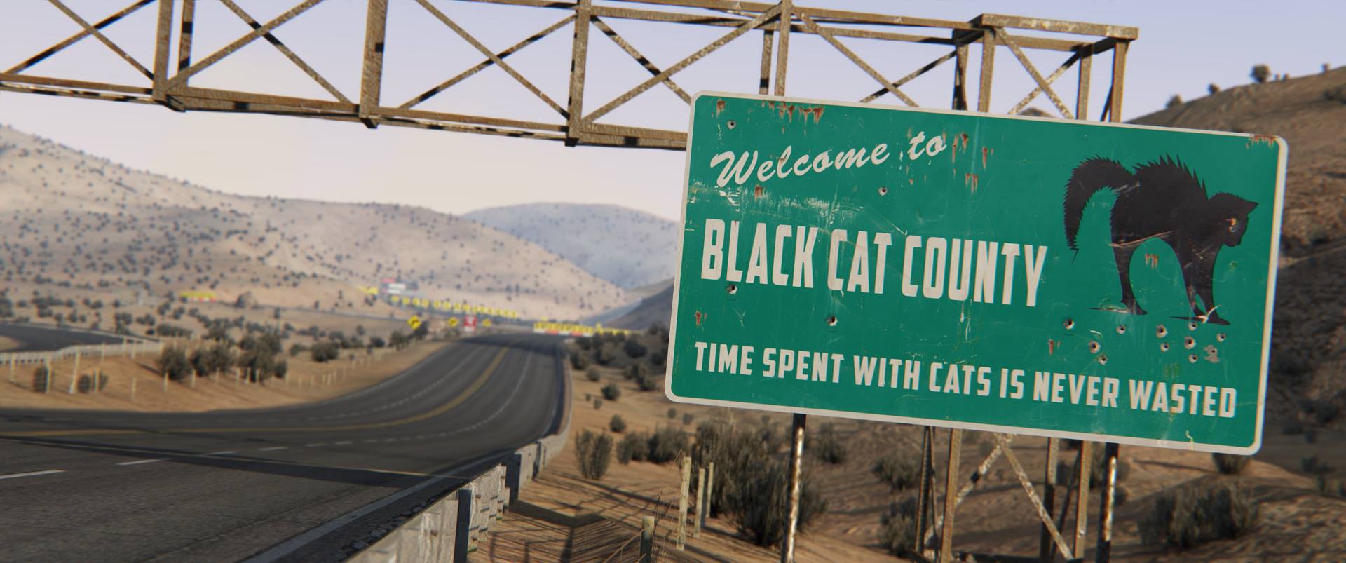 AC Black Cat County.jpg