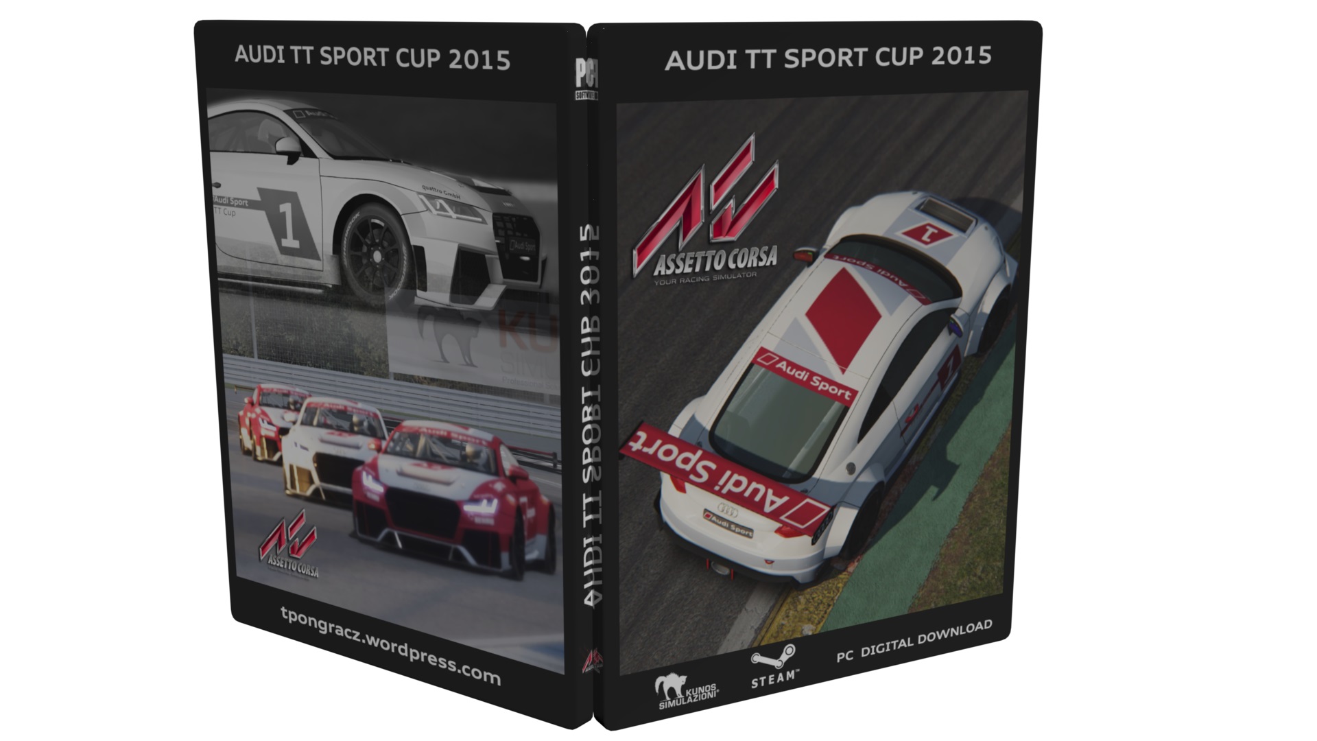 Audi TT Sport Cup 2015.jpg