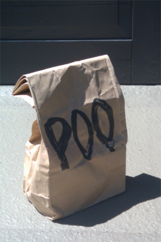 bag-of-poo-01.jpg