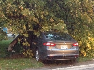 car-crashes-into-tree-in-corner-brook-oct-4-2013.jpg