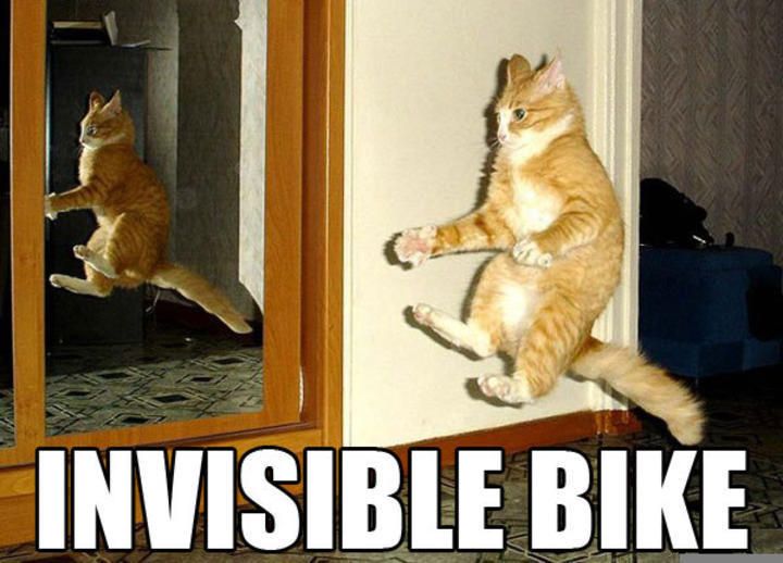 Cat-Pictures-invisible bike.jpg