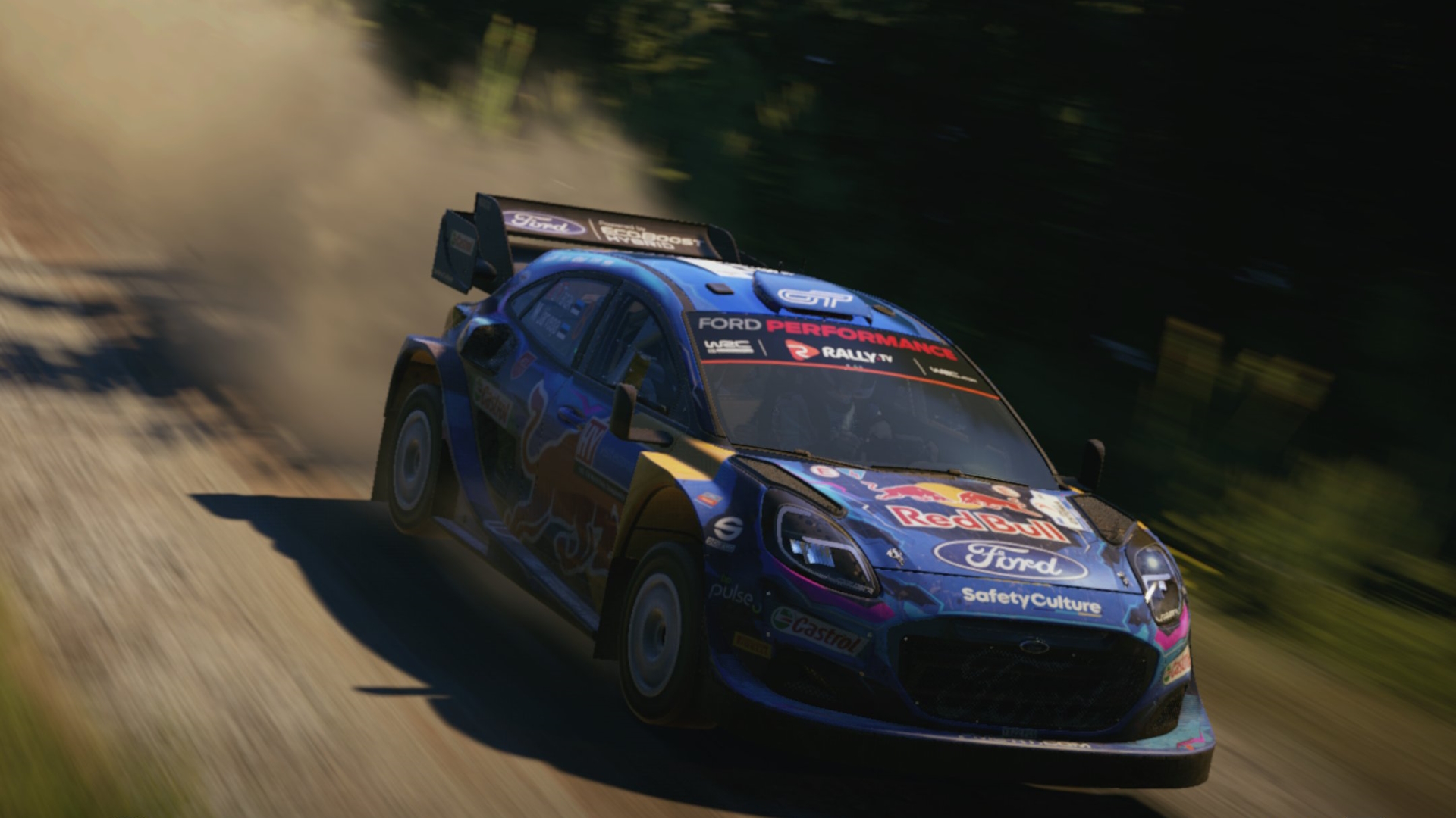 EA Sports WRC Stages Weather.jpg