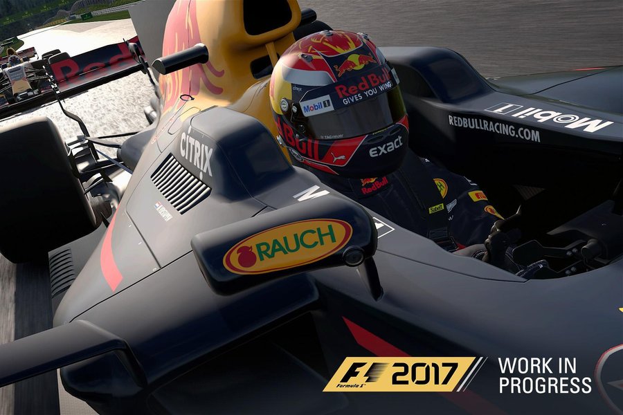 F1 2017 Red Bull 6.jpg