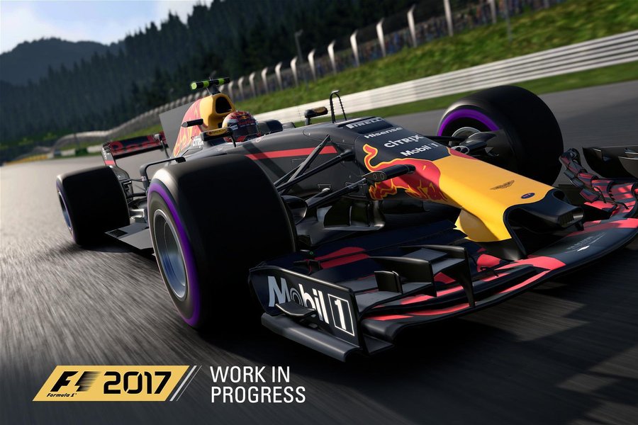 F1 2017 Red Bull 9.jpg