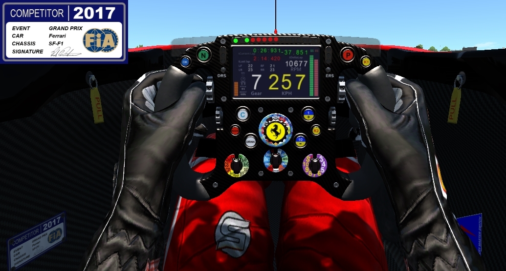 Ferrari_SF-05_steering_wheel_FIA_logo.jpg