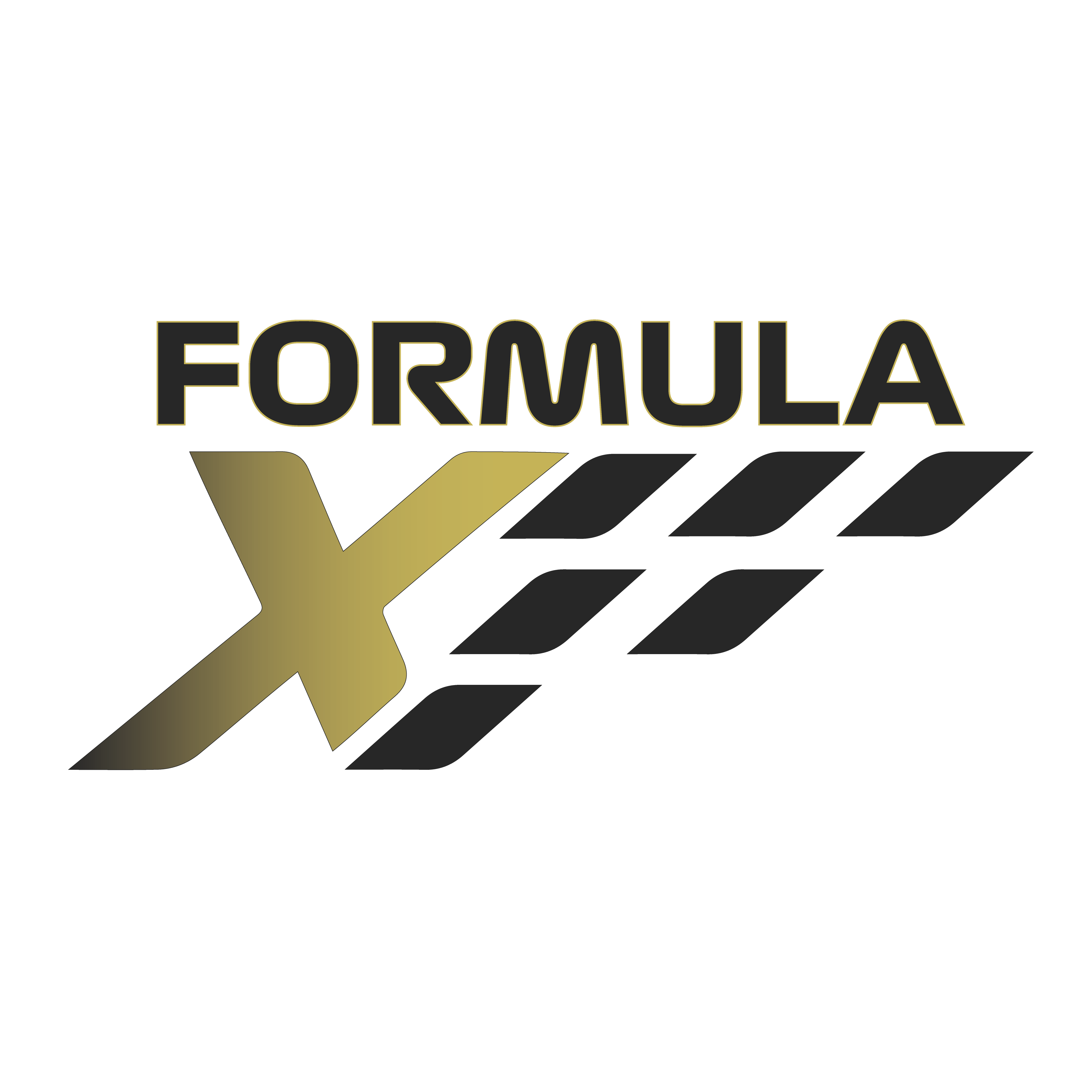 Formula X LOGO-01-01-01.png