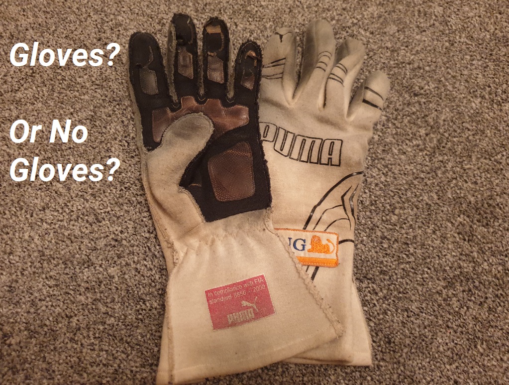 Gloves Question.jpg