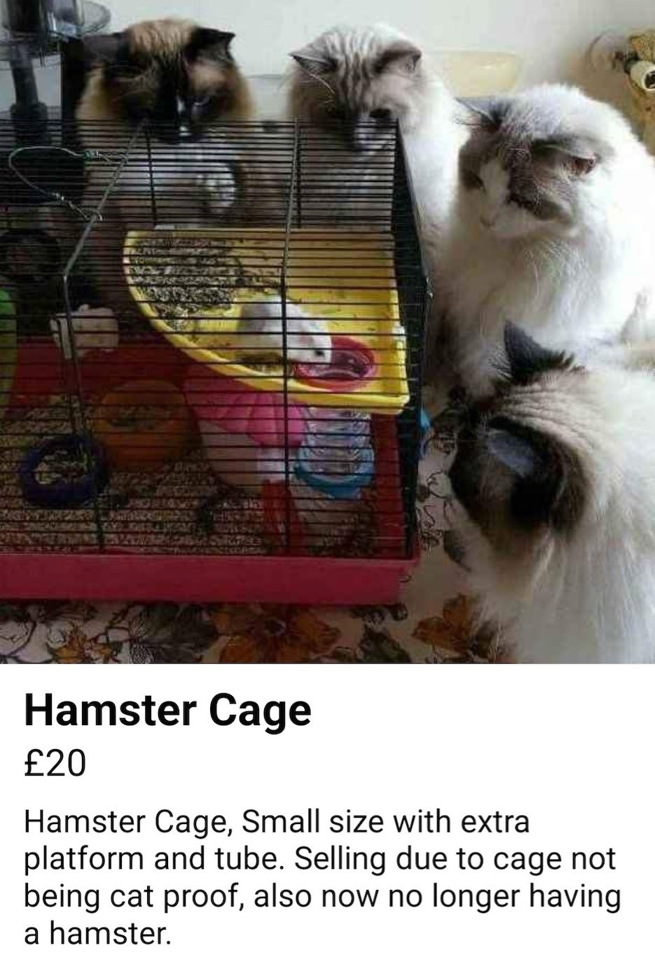 Hamster-cage.jpg