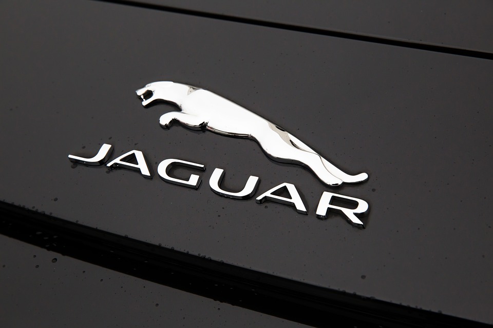 jaguar-1076207_960_720.jpg