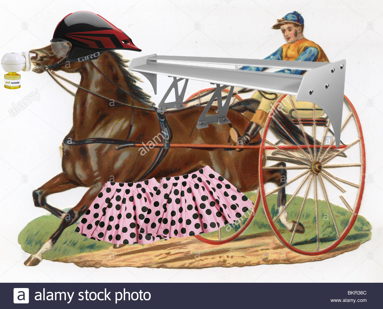 jockey-racing-a-horse-drawn-carriage-victorian-era-BKR36C.jpg