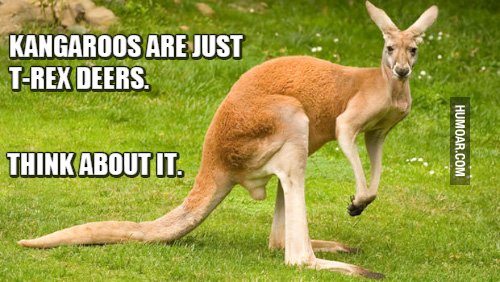 kangaroos-t-rex-deers.jpg