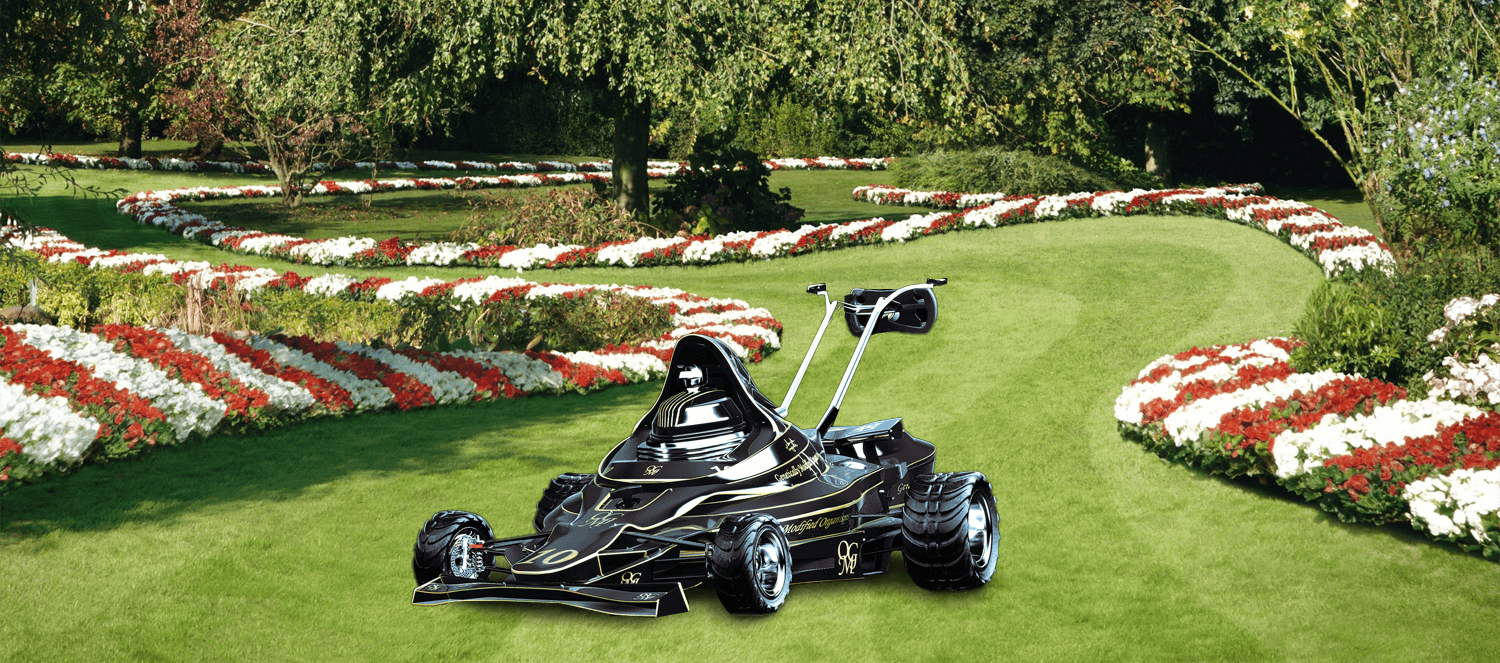 lawnF1 (1).png