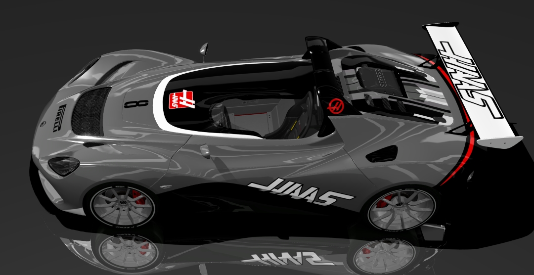 Lotus_3_Racing_Haas_4.jpg