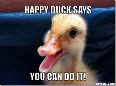 mereduck-meme-generator-happy-duck-says-you-can-do-it-b278a1-405x300.jpg