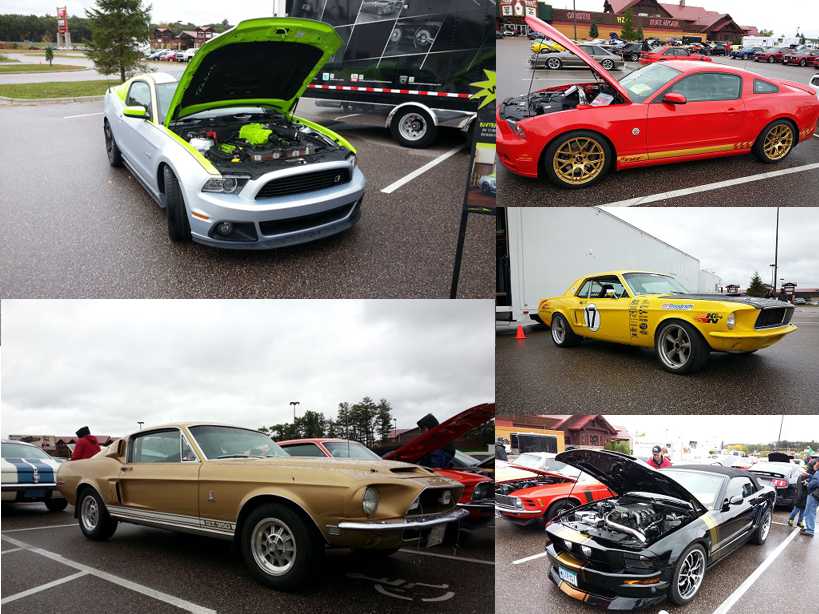 Mustangs 1.jpg