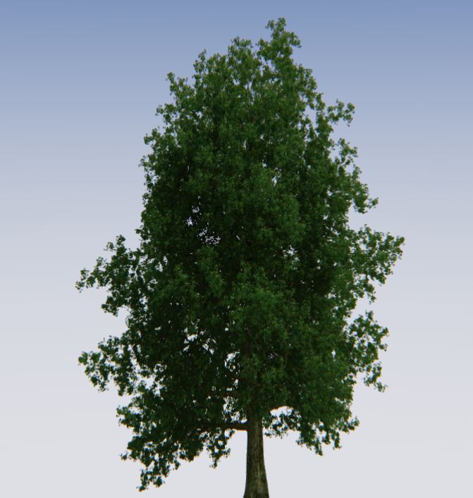 new_tree_01.jpg