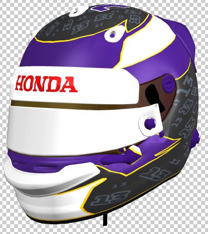 Purple Helmet 1.JPG