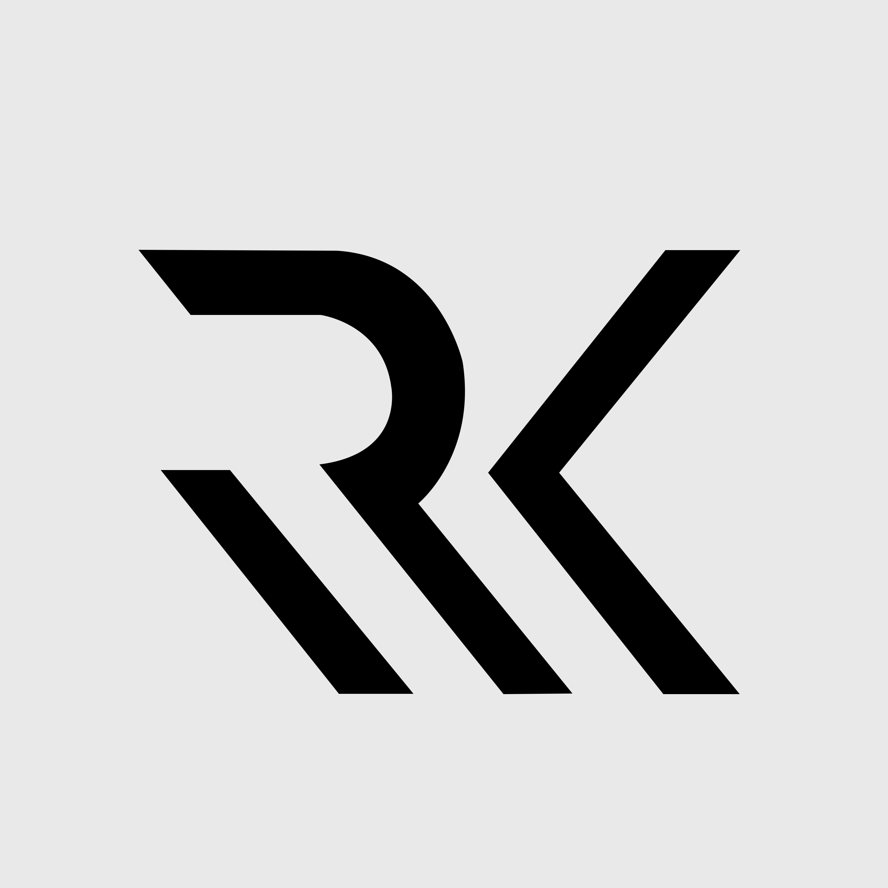 RaceKing Logo.png