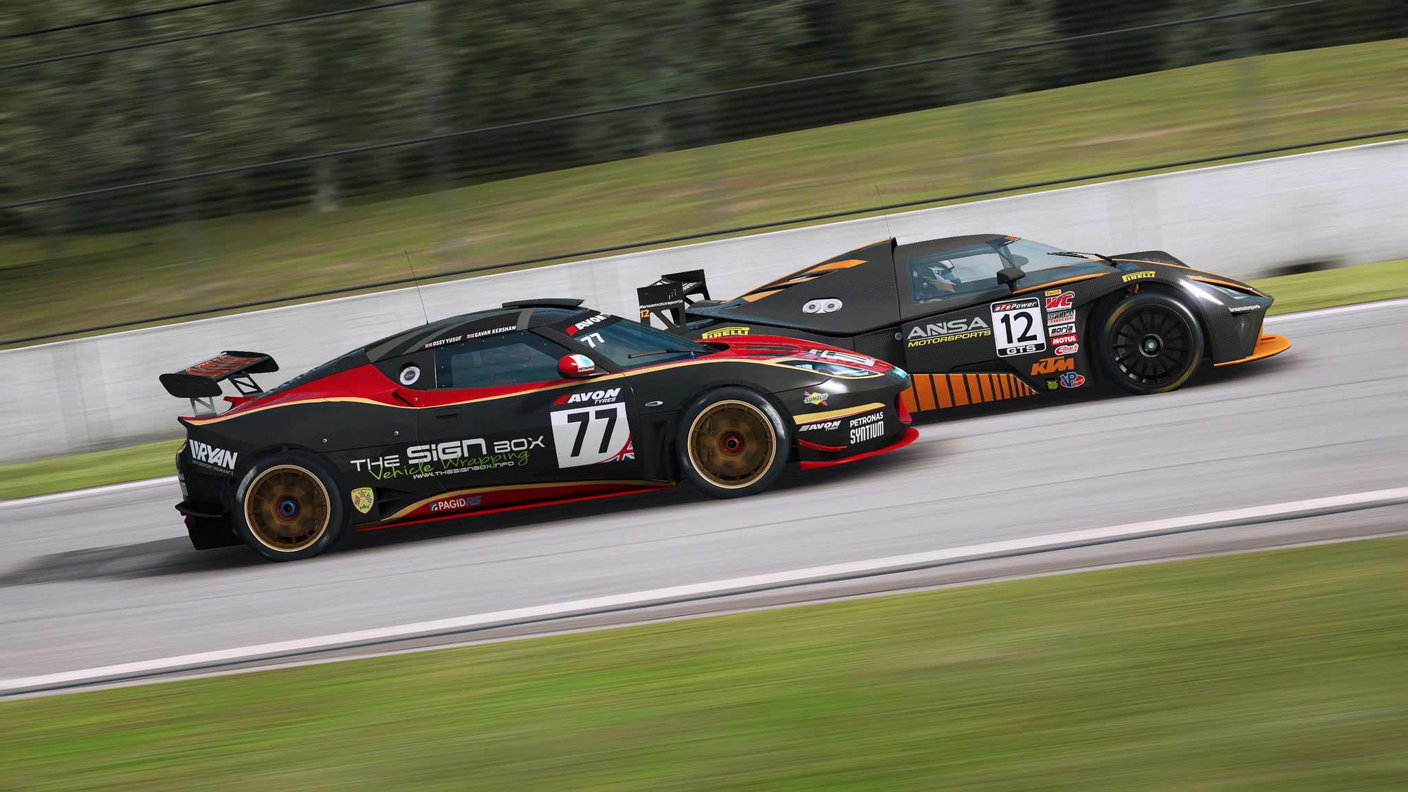 RaceRoom Lotus Evora GT4 3.jpg