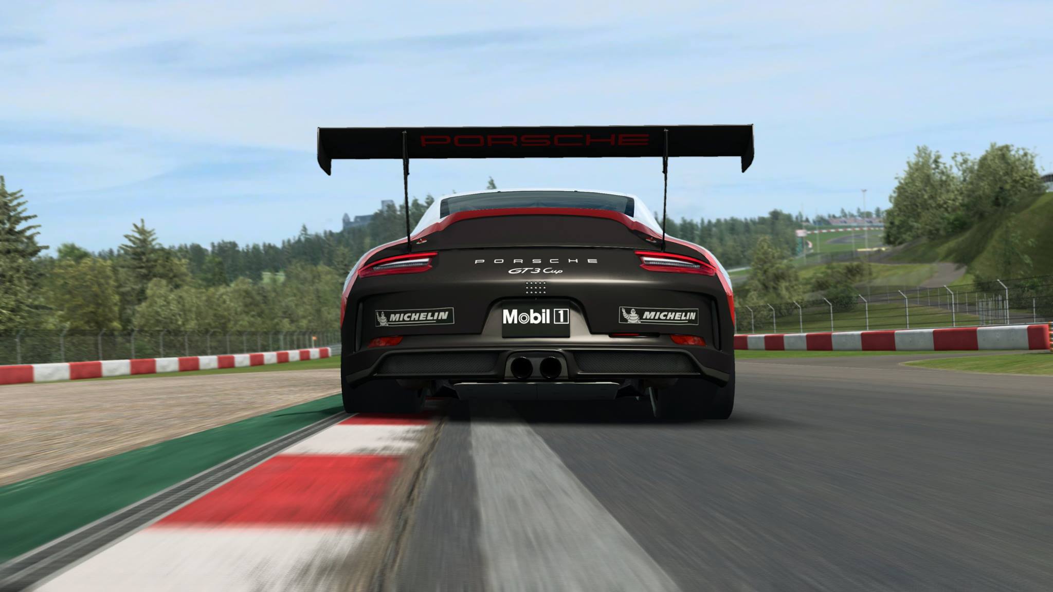 RaceRoom Racing Experience - Porsche 6.jpg