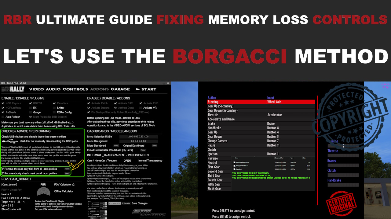 RBR Ultimate Guide Fixing Memory Loss Controls.jpg