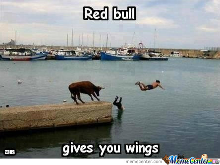red-bull-gives-you-wings_o_1486765.jpg