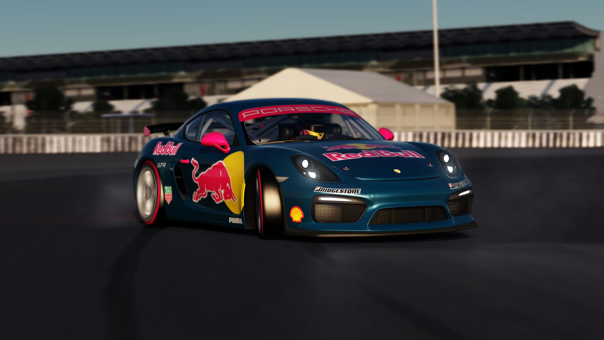 Red Bull Porsche (3).jpg