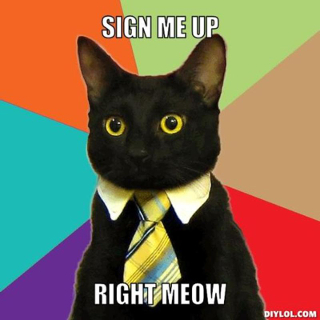 resized_business-cat-meme-generator-sign-me-up-right-meow-4a528b.jpg