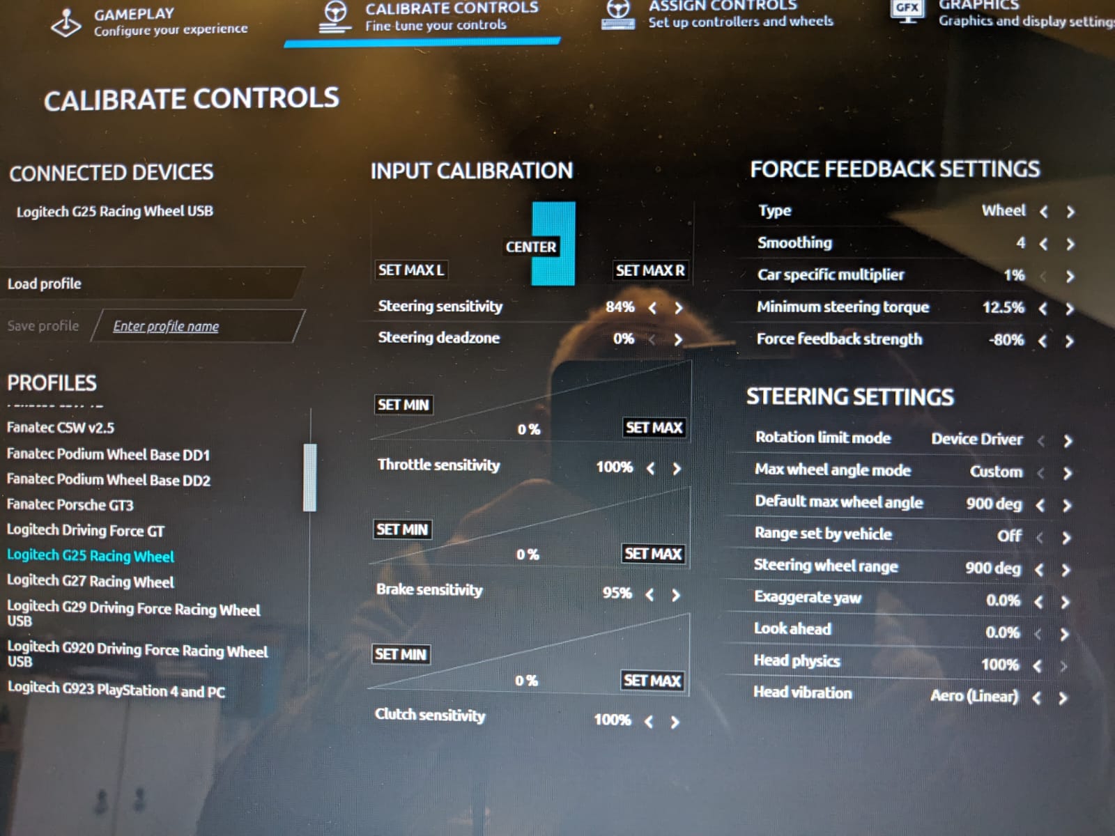 rF2 control setting screenshot.jpg