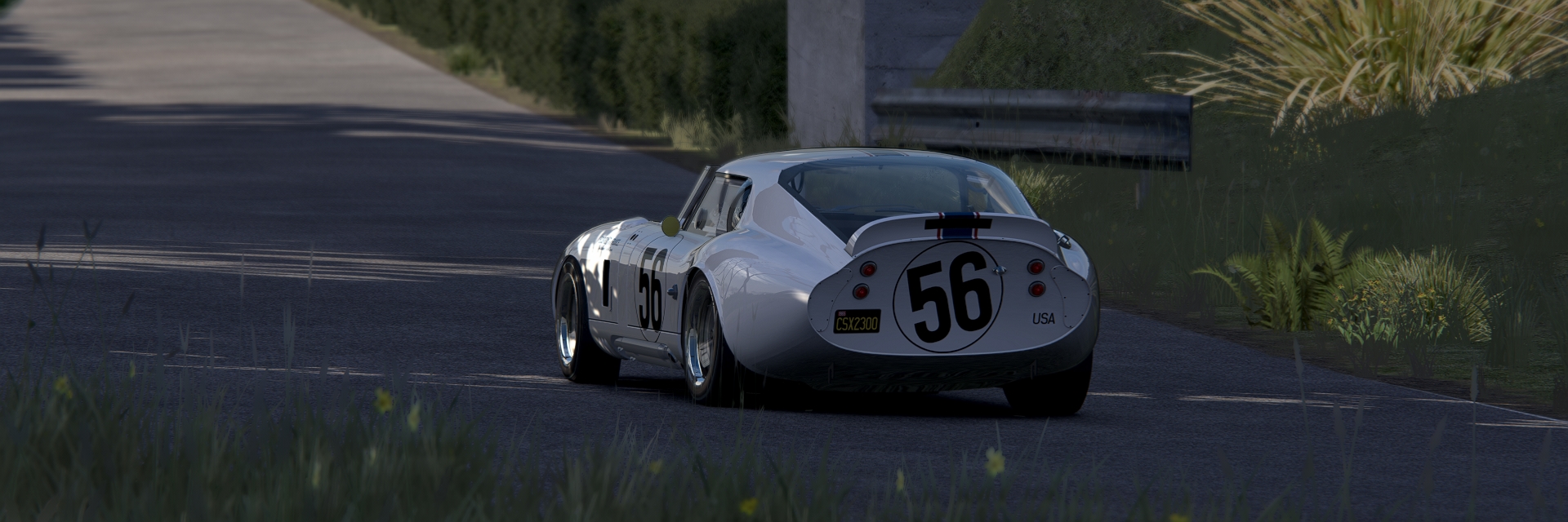 Screenshot_ac_legends_gt_shelby_daytona_nurburgring1967_18-11-122-15-15-43.jpg