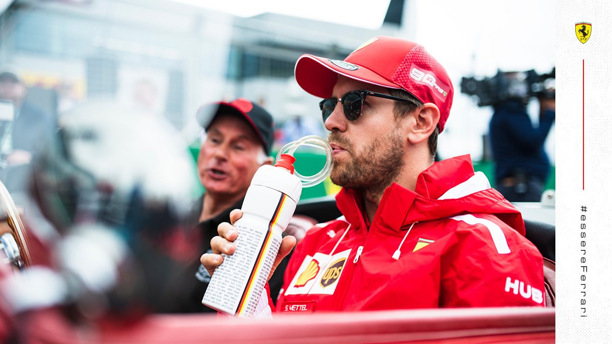 Sebastian Vettel .jpg