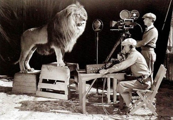 shooting-the-mgm-lion-logo-in-1924.jpg
