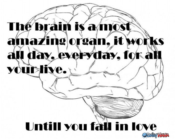 the-brain1.jpg