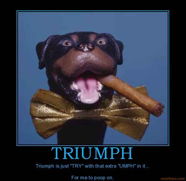 triumph-triumph-insult-comic-dog-poop-demotivational-poster-1212027667.jpg