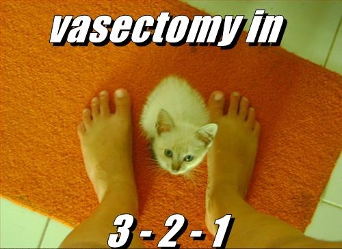 vasectomy.jpg
