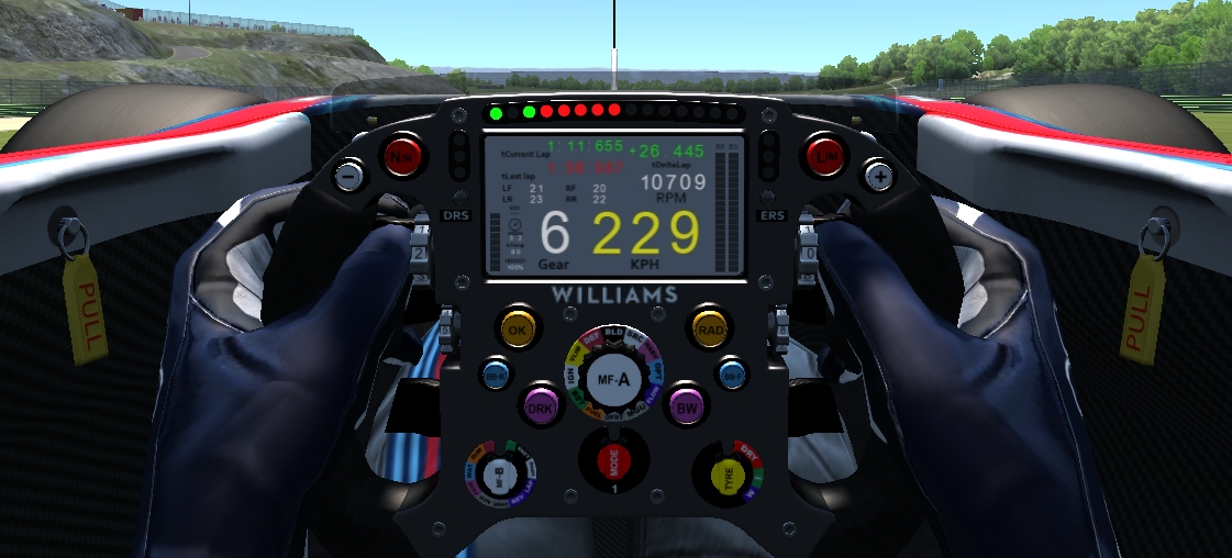 Williams Steering Wheel.jpg