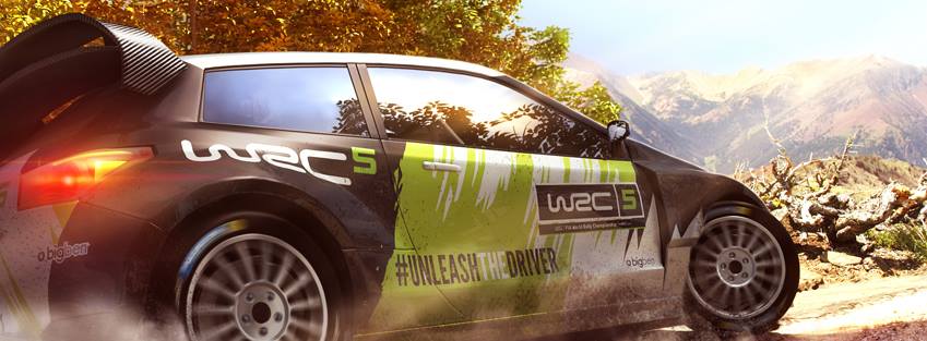 WRC 5 Rally Game.jpg
