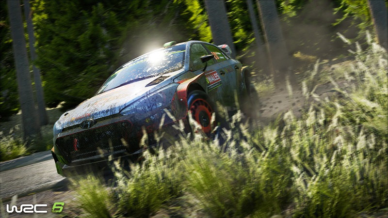 WRC 6 6.jpg