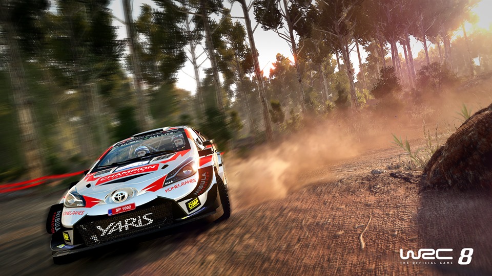 WRC 8.jpg