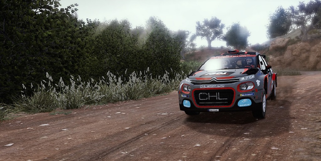 WRC 8.jpg