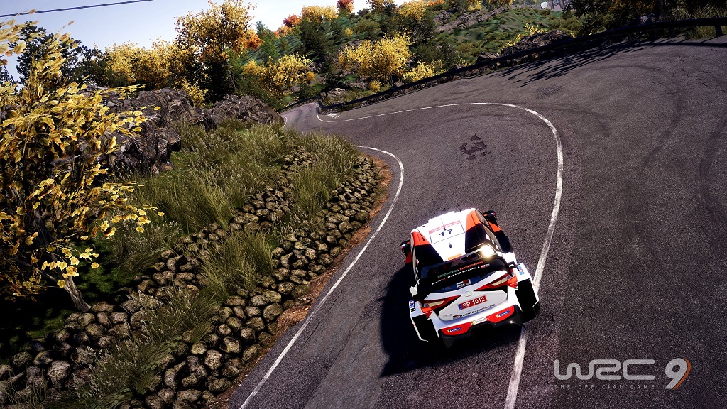 WRC 9 Header.jpg