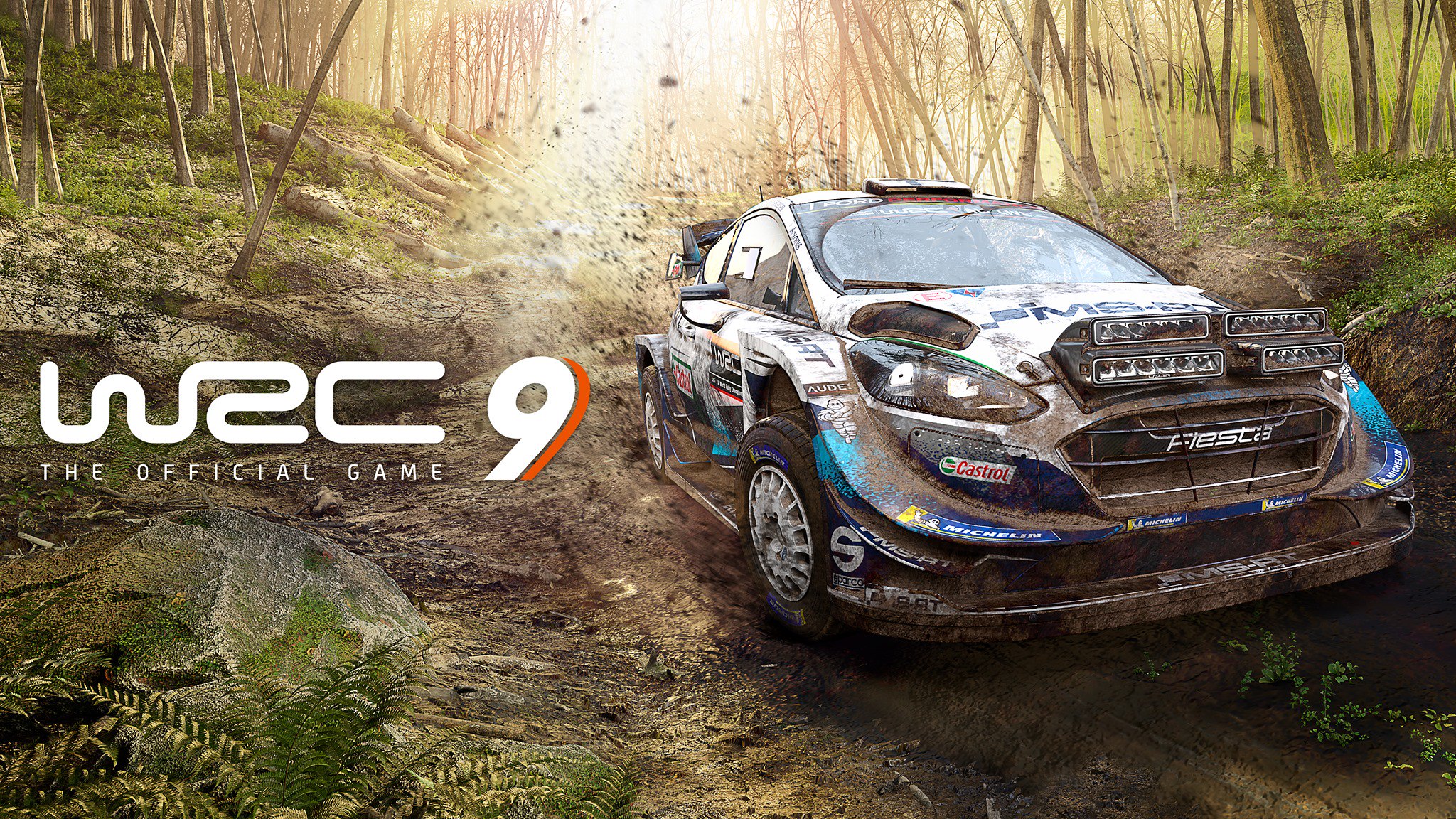 WRC 9.jpg
