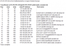 Traceroute, Ping, Domain Name Server (DNS) Lookup, WHOIS trace 87.210.197.234_1280236388732.png