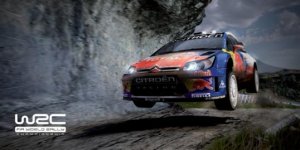 WRC%202010%20computer%20game%20screenshot.jpg