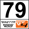 Ginetta_GT4_example.png
